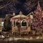 Gazebo professionali: guida alle migliori soluzioni per eventi e attività commerciali, dai tradizionali ai gonfiabili